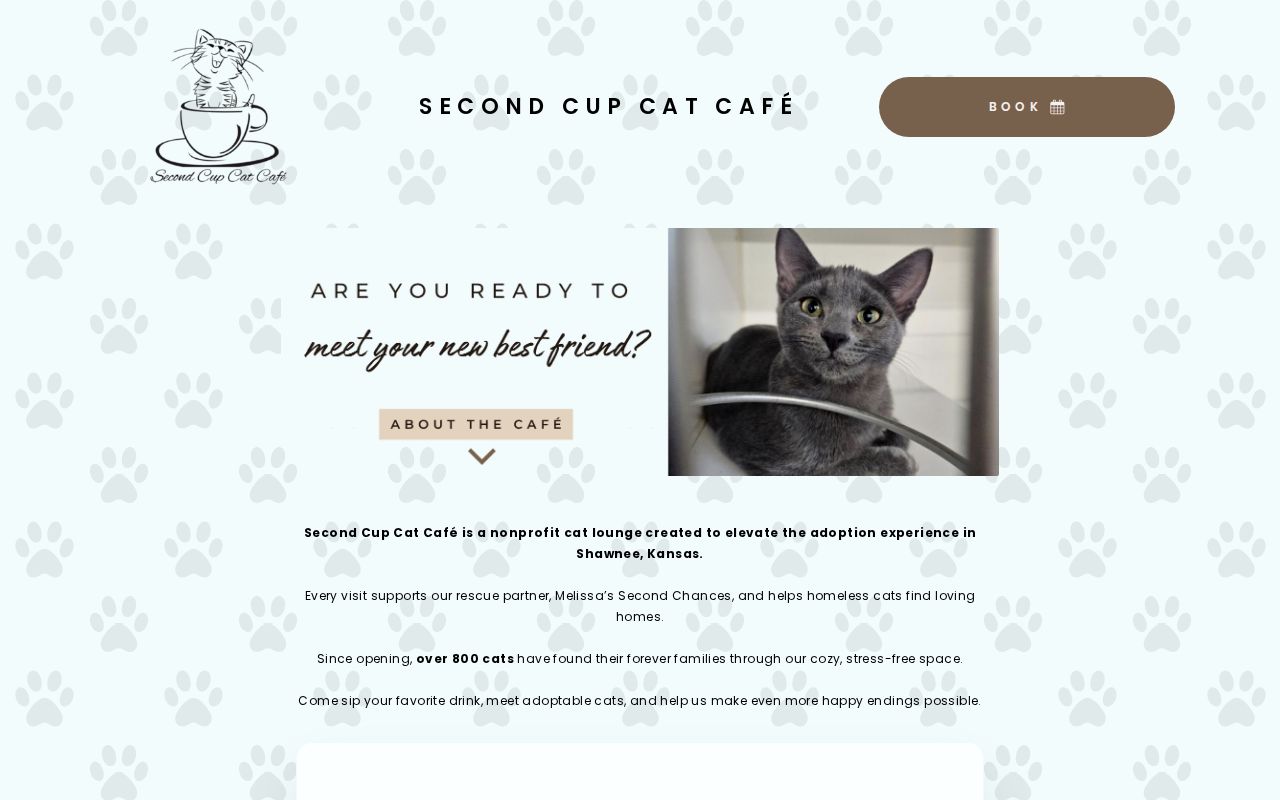 Second Cup Cat Cafe